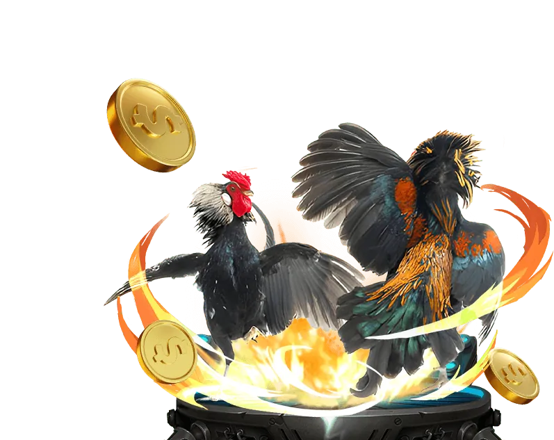 Chương trình VIP 79king2